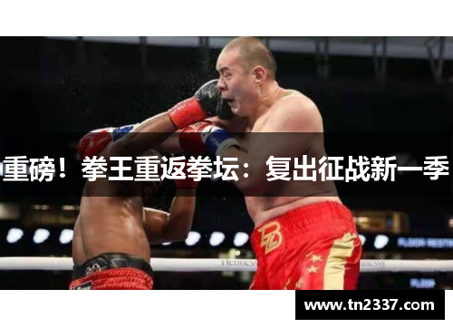 重磅！拳王重返拳坛：复出征战新一季